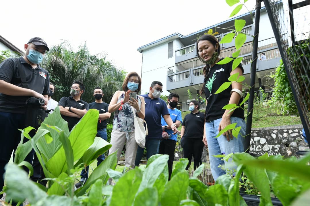 Eats, Shoots and Roots:  Sayur in the City