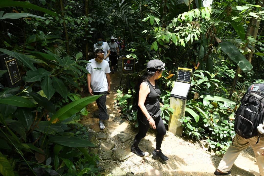 Taman Tugu: Nature Education Programme