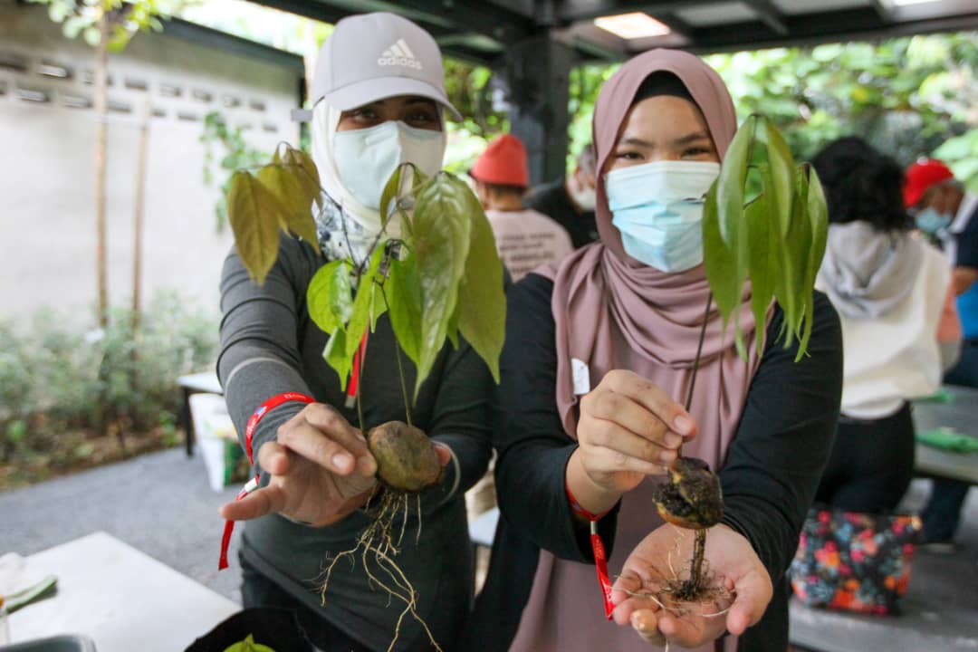 Taman Tugu: Nature Education Programme 26 September 2020