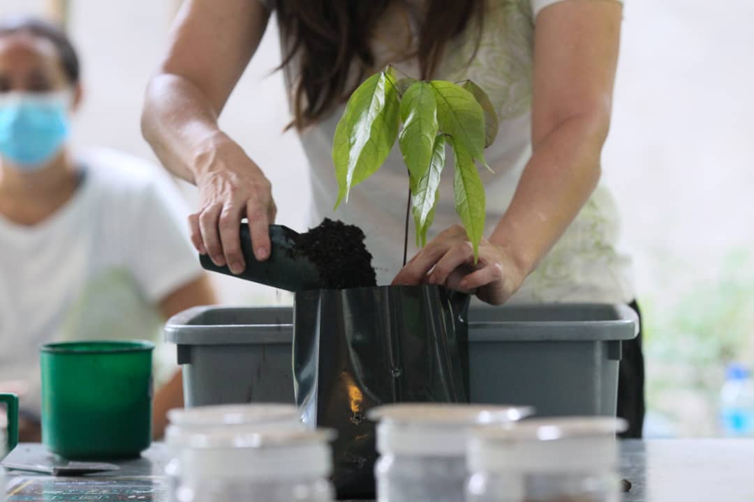 Taman Tugu: Nature Education Programme 26 September 2020